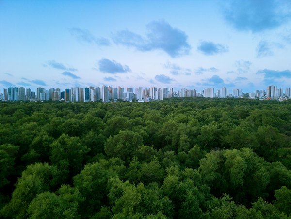 Photo ecologie : les clés pour une énergie durable et efficace
